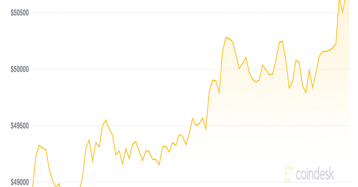 Market Wrap: Bitcoin at $51K as the Bulls Return