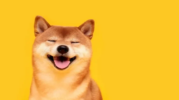 Shiba Inu Hits Record High as Bitcoin Eyes Weekly Price Loss