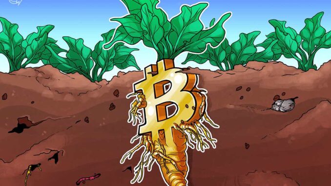 Bitcoin Taproot upgrade improves the network as BTC price impact may be limited