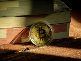 Bitcoins' Circulation and Address Remain Underwhelming