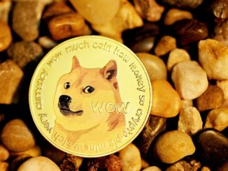 Elon Tweets Video Explaining Everything About Dogecoin 10